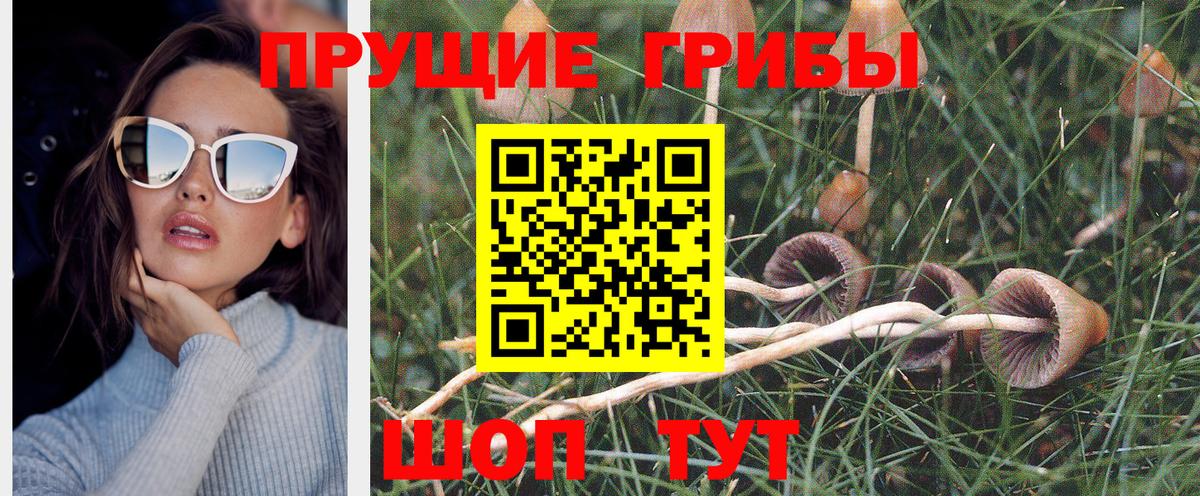 Псилоцибиновые грибы Cubensis  Псилоцибиновые грибы мухоморы  Вход с VPN  Гагарин 
